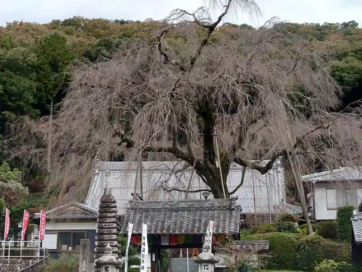 林陽寺(岐阜県)