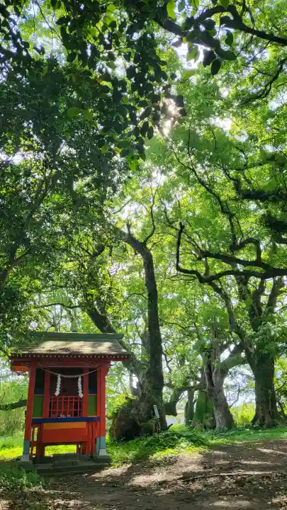 大汝牟遅神社の{uncategorized: "未分類", other: "その他", undefined: "問題あり", building: "その他建物", grave: "お墓", sacred_gate: "鳥居", guardian: "狛犬", statue: "像", buddha: "仏像", history: "歴史", nature: "自然", garden: "庭園", animal: "動物", pagoda: "塔", temizu: "手水舎", mountain_gate: "山門・神門", sanctuary: "本殿・本堂", subordinate: "末社・摂社", art: "芸術", scenery: "景色", jizo: "地蔵", ema: "絵馬", goshuin: "御朱印", omikuji: "おみくじ", items: "授与品その他", amulet: "お守り", goshuincho: "御朱印帳", eats: "食事", festival: "お祭り", votive_dance: "神楽", shichigosan: "七五三参", wedding: "結婚式", experience: "体験その他", initially: "初詣", around: "周辺", anti_infection: "感染症対策"}