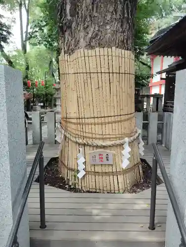 田無神社(東京都)