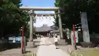 浅草神社の鳥居