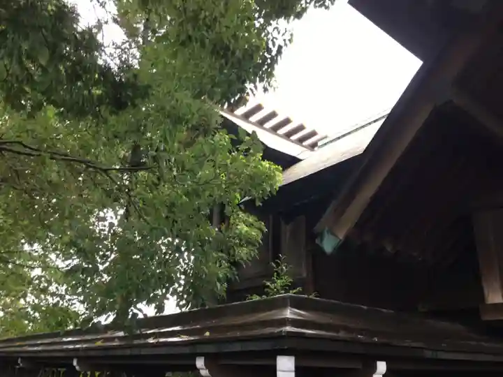 寒川神社の本殿・本堂