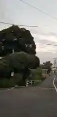 天祖神社(東京都)