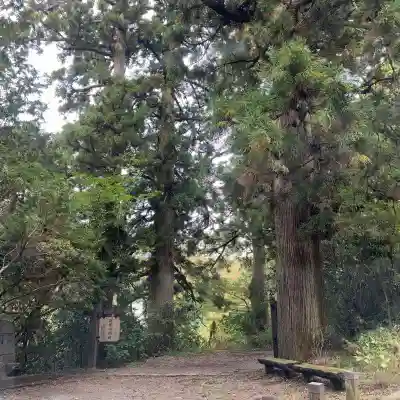 興福院(神奈川県)