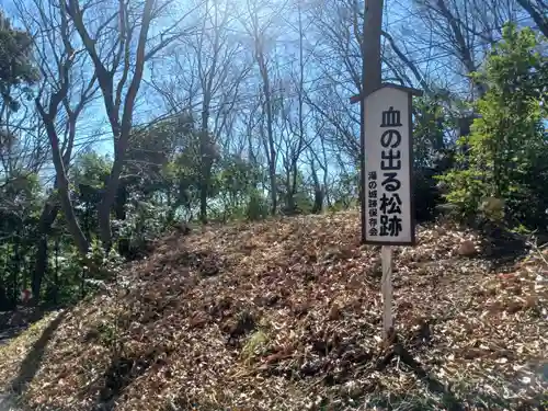 城山神社のその他建物