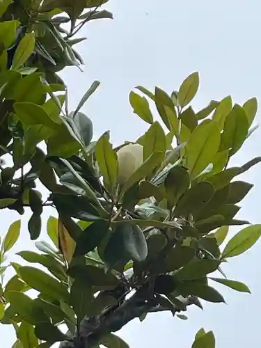 禅定寺(京都府)