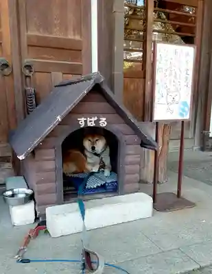感通寺(東京都)
