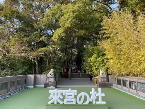 來宮神社(静岡県)