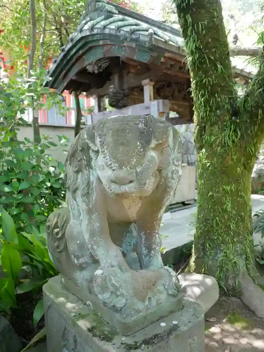 高幡不動尊 金剛寺の狛犬