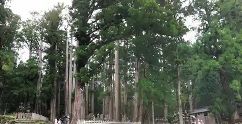 高野山金剛峯寺奥の院の景色