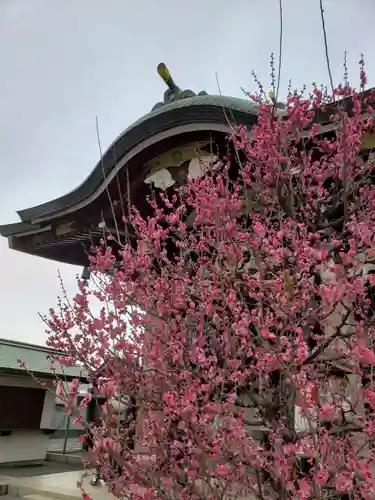 諏訪神社(東京都)