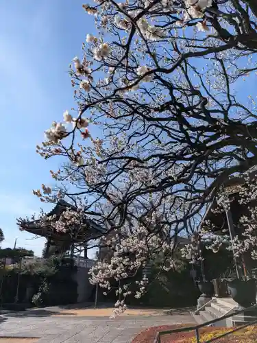 福蔵院(東京都)