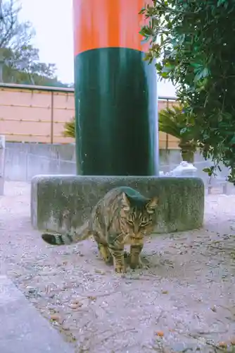 淡嶋神社(和歌山県)
