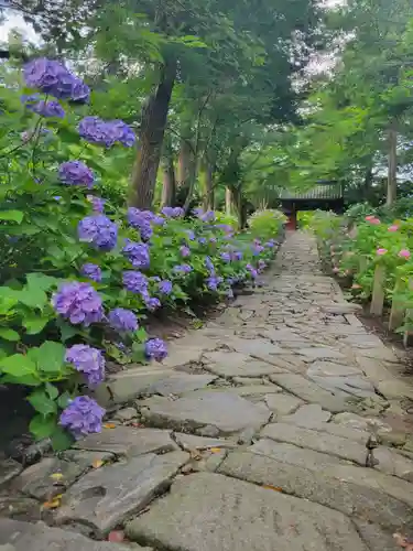 本光寺(愛知県)