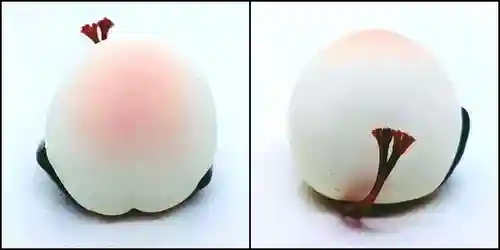 自由が丘熊野神社(東京都)