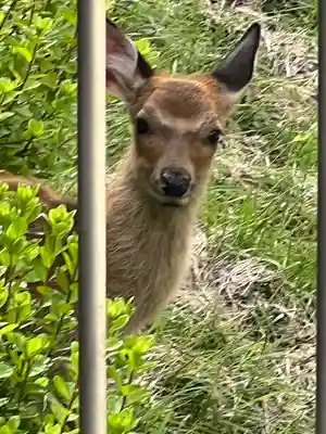三峯神社奥宮(埼玉県)