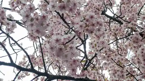 知恩院(京都府)