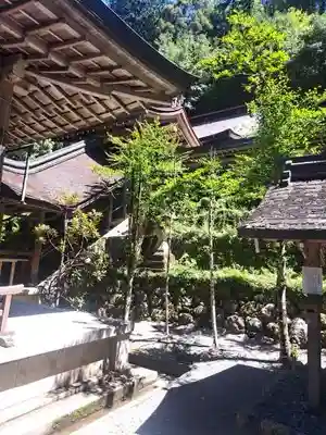 ご本殿につながる「階」（きざはし）この後、下社でも見ました。