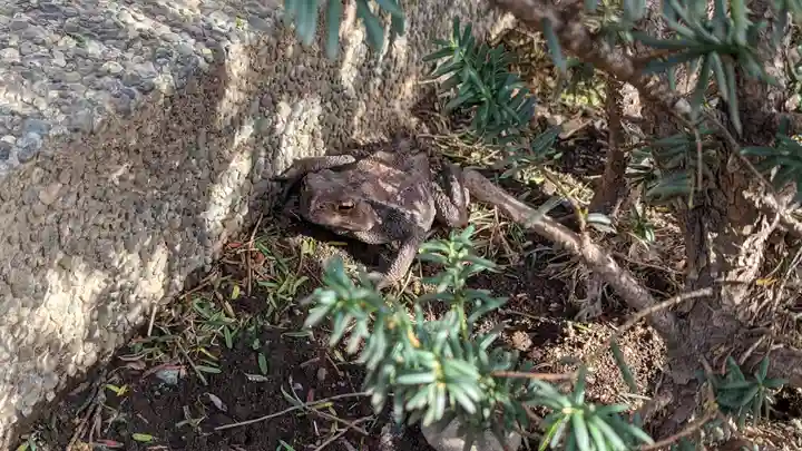 天暁山 一行院(東京都)