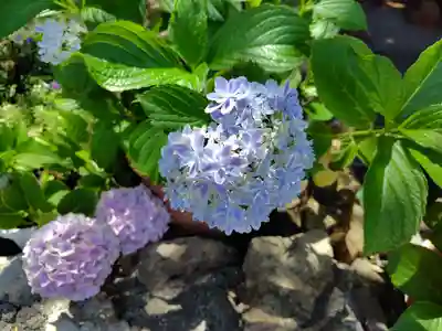 発寒神社(北海道)