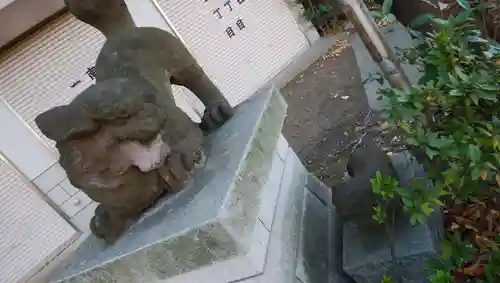 目白天祖神社の狛犬