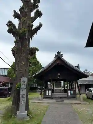 天神社（余坂天神社）の{uncategorized: "未分類", other: "その他", undefined: "問題あり", building: "その他建物", grave: "お墓", sacred_gate: "鳥居", guardian: "狛犬", statue: "像", buddha: "仏像", history: "歴史", nature: "自然", garden: "庭園", animal: "動物", pagoda: "塔", temizu: "手水舎", mountain_gate: "山門・神門", sanctuary: "本殿・本堂", subordinate: "末社・摂社", art: "芸術", scenery: "景色", jizo: "地蔵", ema: "絵馬", goshuin: "御朱印", omikuji: "おみくじ", items: "授与品その他", amulet: "お守り", goshuincho: "御朱印帳", eats: "食事", festival: "お祭り", votive_dance: "神楽", shichigosan: "七五三参", wedding: "結婚式", experience: "体験その他", initially: "初詣", around: "周辺", anti_infection: "感染症対策"}