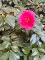 王子神社(東京都)