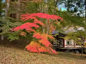 楽水亭 大龍寺(秋田県)(2024年11月13日(水) 22時29分52秒投稿)