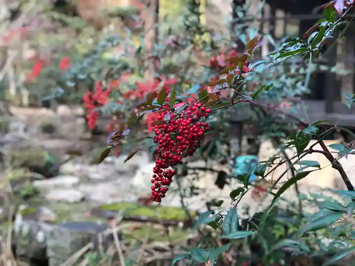 木舟山 順教寺の自然