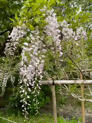 歌泉堂（春日大社神苑萬葉植物園内鎮座）(奈良県)