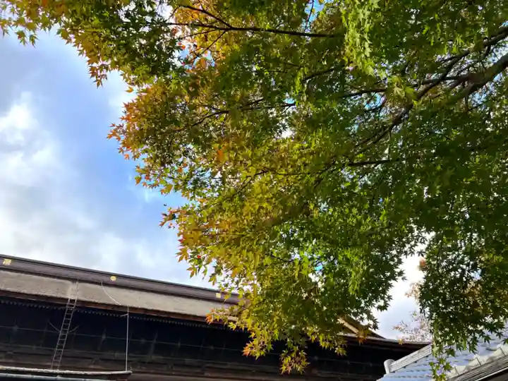 善光寺(長野県)