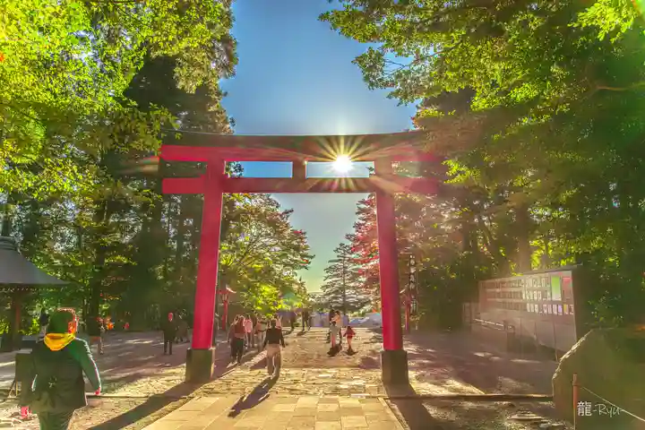 霧島神宮(鹿児島県)
