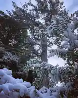 滑川神社 - 仕事と子どもの守り神の自然