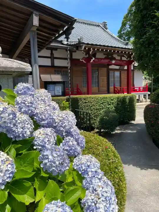 大久保山 自性院(神奈川県)