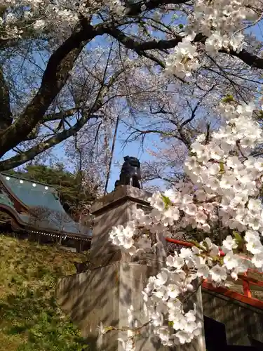 福泉寺の狛犬