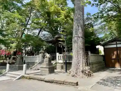 亀岡八幡宮(亀岡八幡神社)(神奈川県)