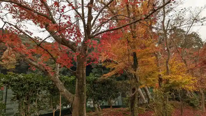 興聖寺(興聖寶林禅寺)(京都府)