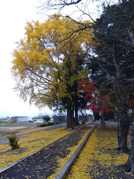 五社神社(滋賀県)