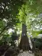 戸越八幡神社(東京都)