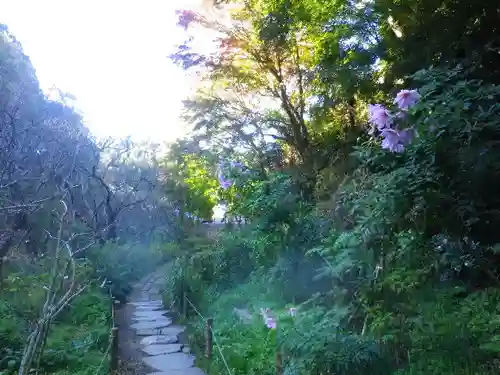 瑞泉寺の庭園