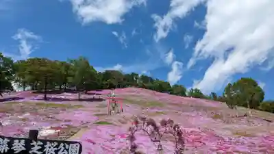 山津見神社の景色