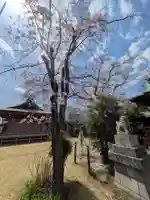 三谷八幡神社(東京都)
