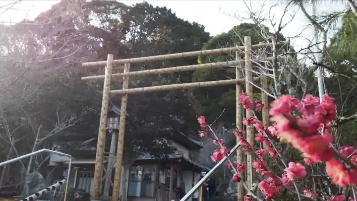 高家神社(千葉県)