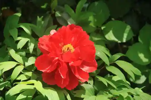 愛宕神社の庭園