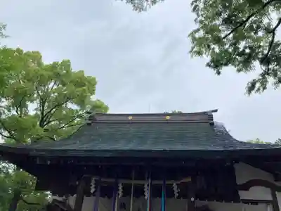 松戸神社(千葉県)