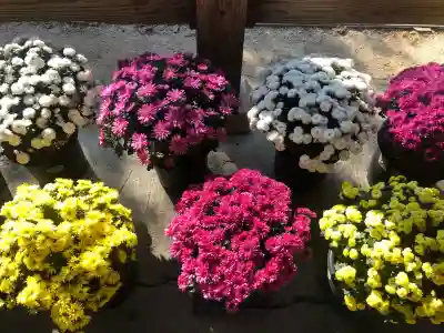 備中国總社(岡山県)