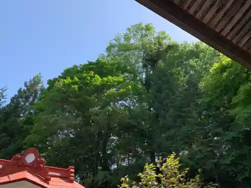 高水山　常福院　龍学寺　の自然