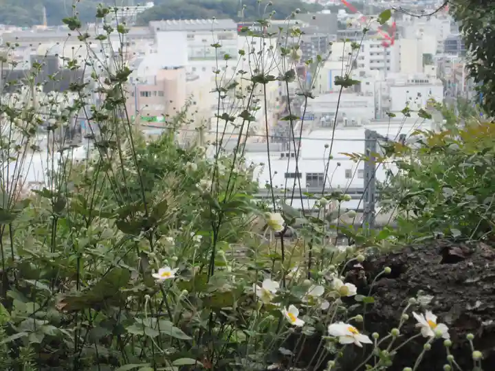 黙仙寺(神奈川県)