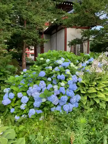 眞久寺の自然