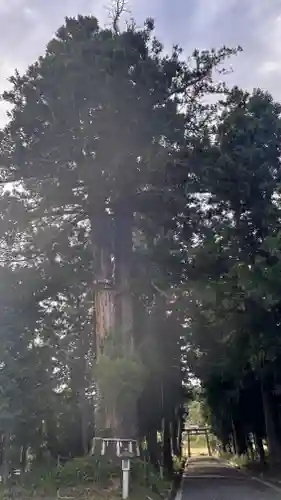 天神神社(滋賀県)