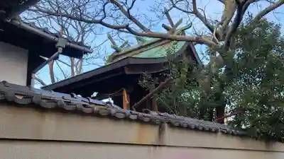 義農神社(愛媛県)